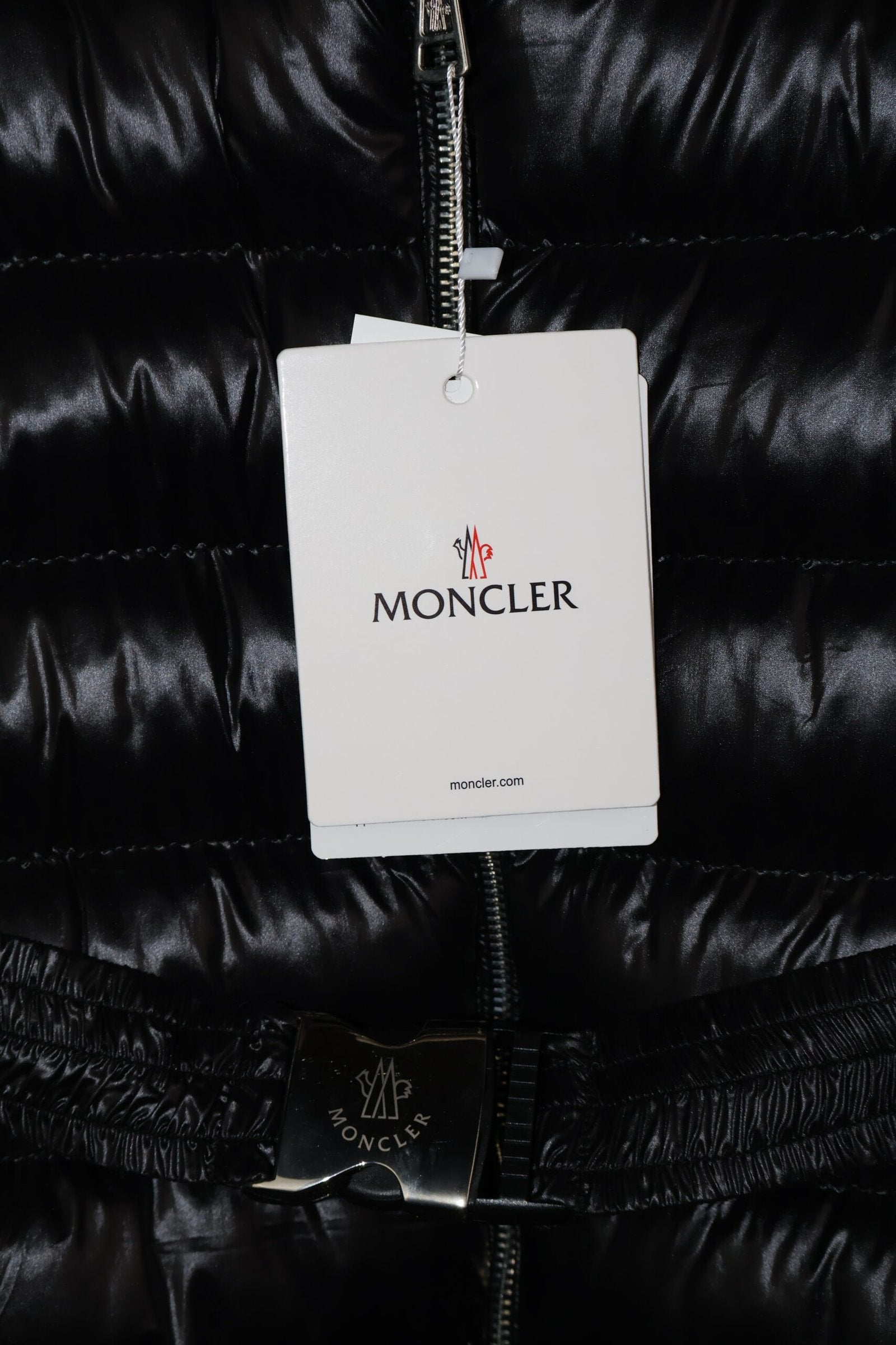 Moncler Black Fulmarus Down Jacket