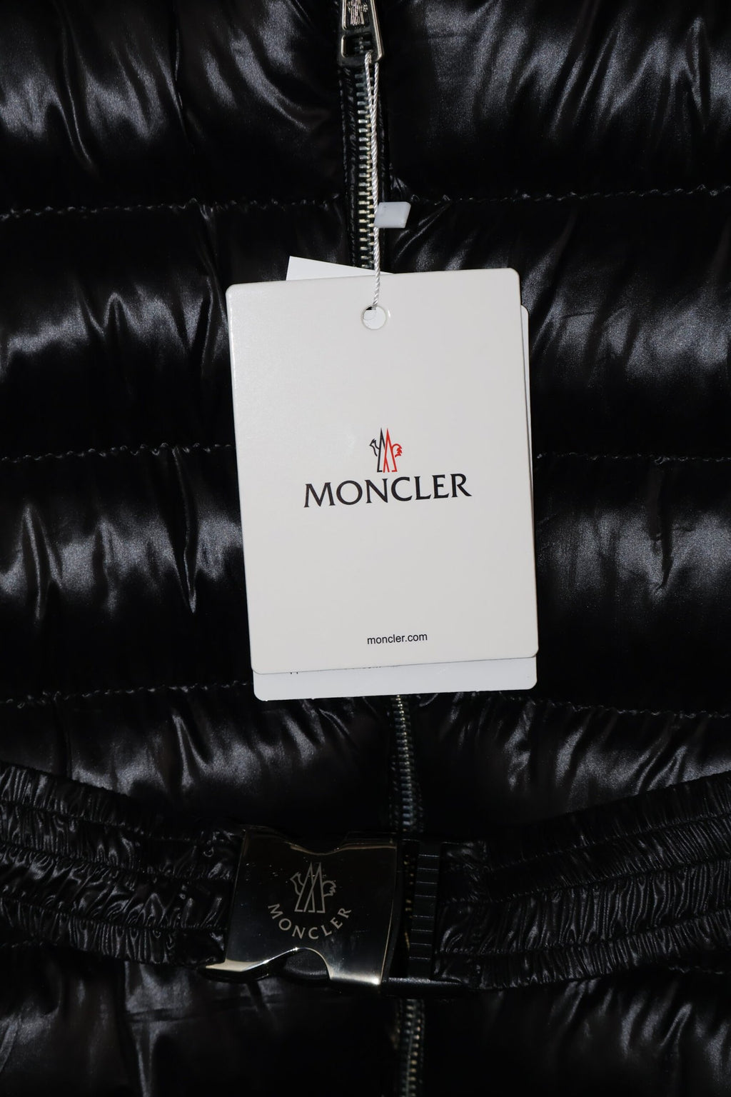 Moncler Black Fulmarus Down Jacket