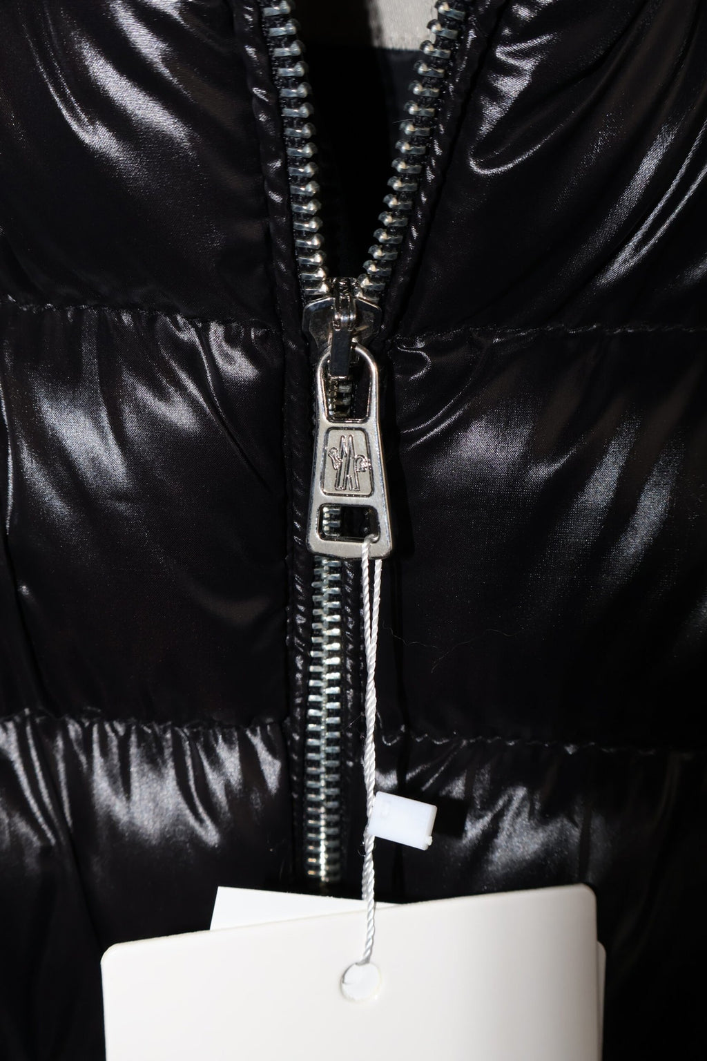 Moncler Black Fulmarus Down Jacket